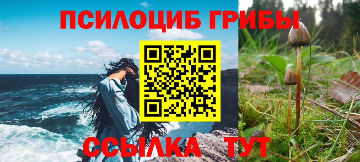 Псилоцибиновые грибы ЛСД Петропавловск-Камчатский